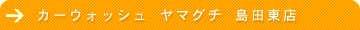 �J�[�E�H�b�V�� ���}�O�` ���c���X