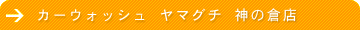�J�[�E�H�b�V�� ���}�O�` �_�̑q�X